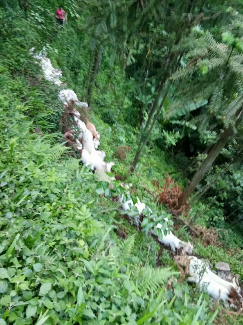 富硒原生态