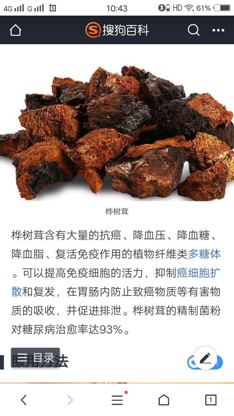 桦树茸