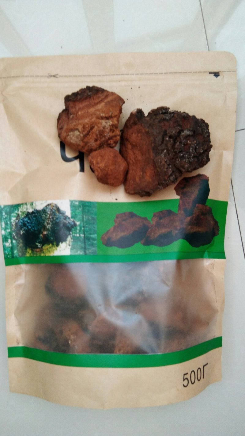 桦树茸