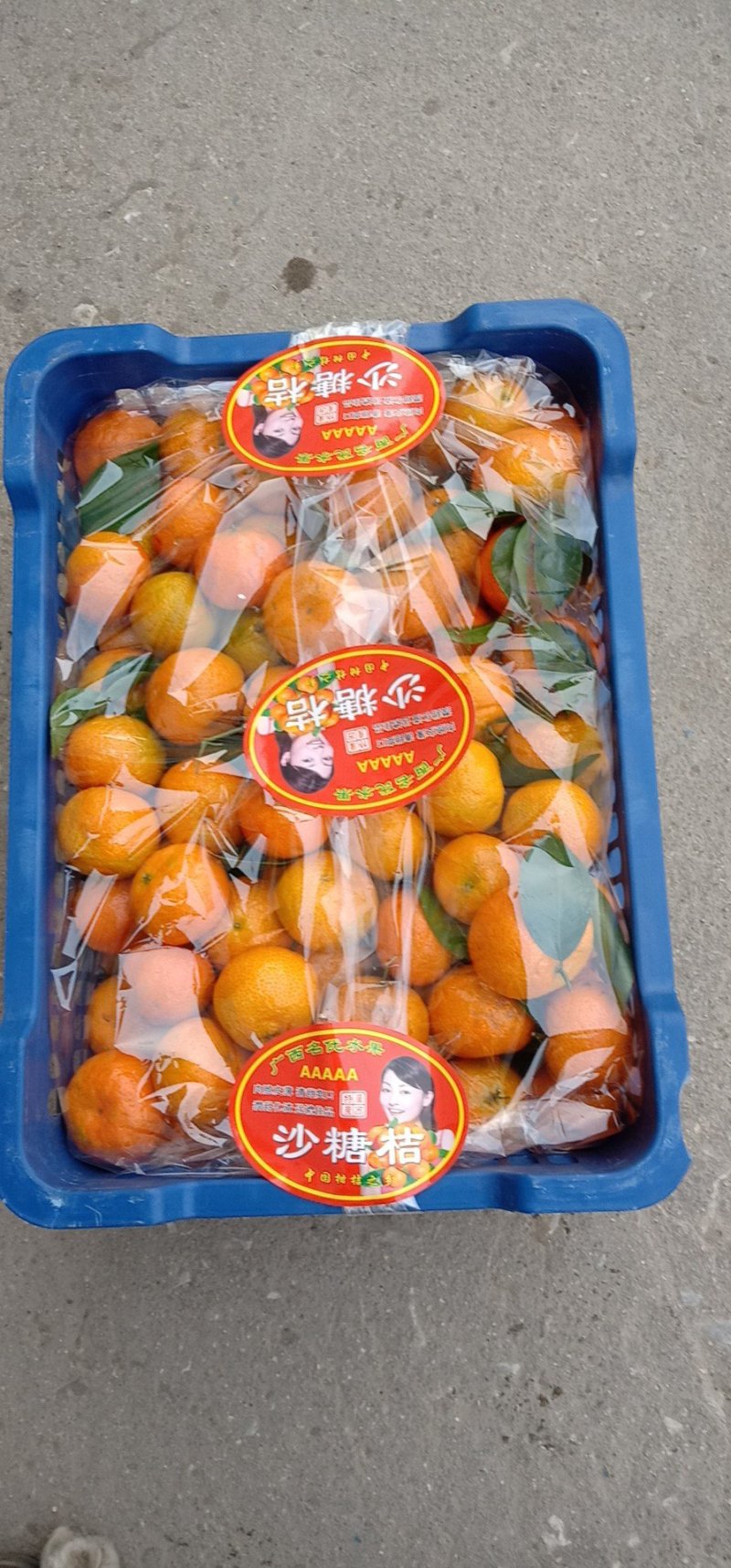 供应广西荔蒲砂糖桔二级果
