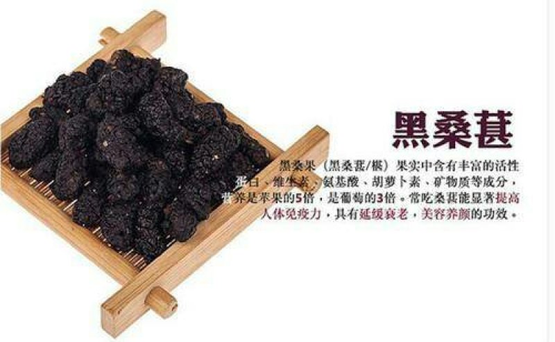 桑果～优质桑果欢迎酒厂食品厂药材商干果商1斤起批发