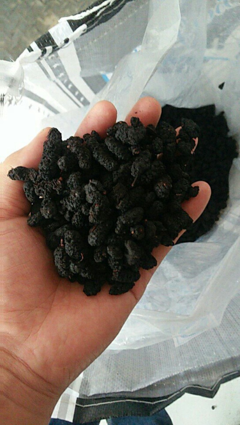 桑果～优质桑果欢迎酒厂食品厂药材商干果商1斤起批发