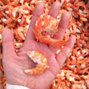 虾仁，海米