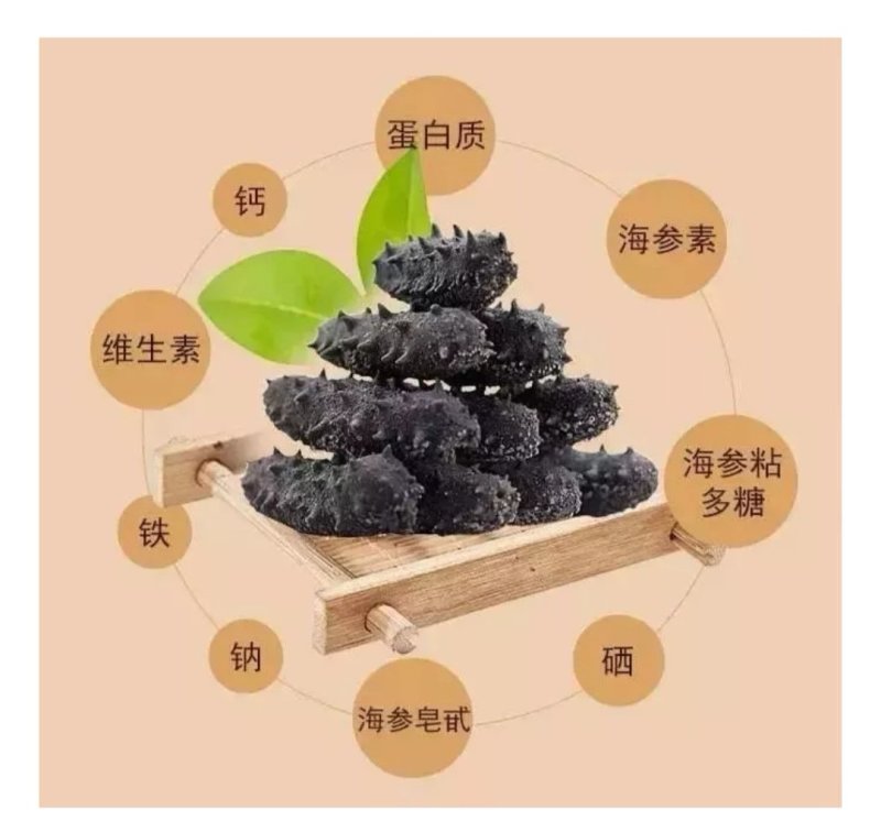 淡干海参（纯）