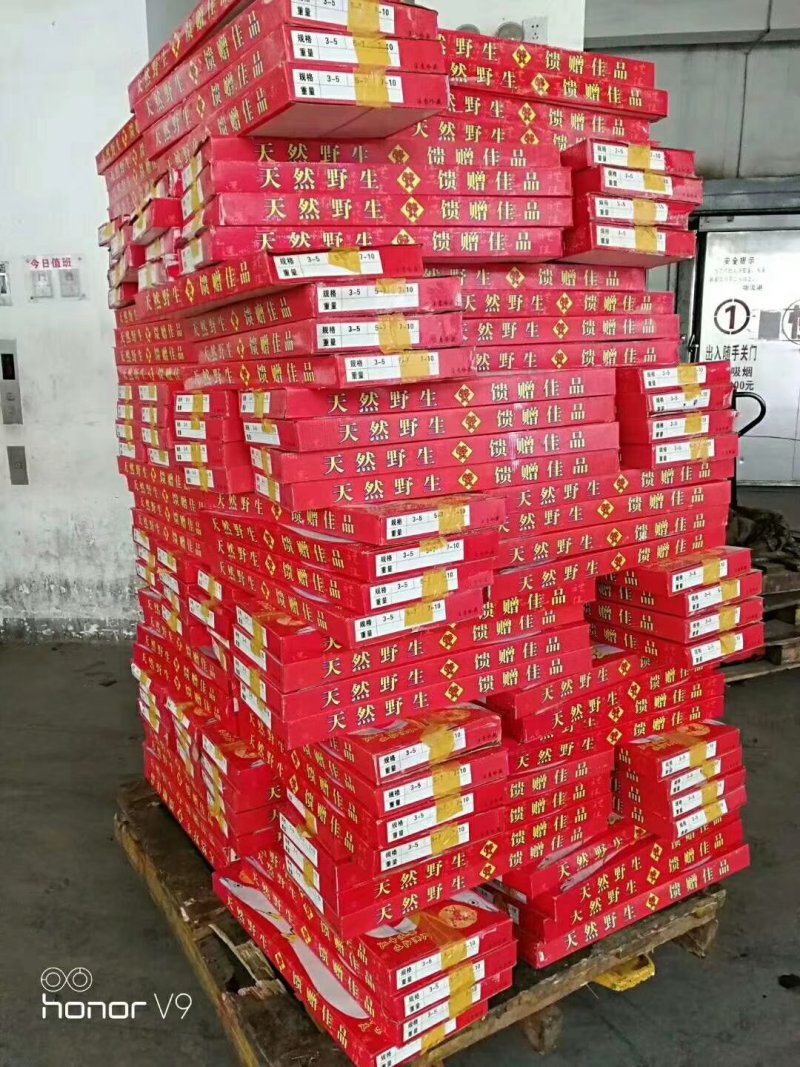 礼品带规格10/12