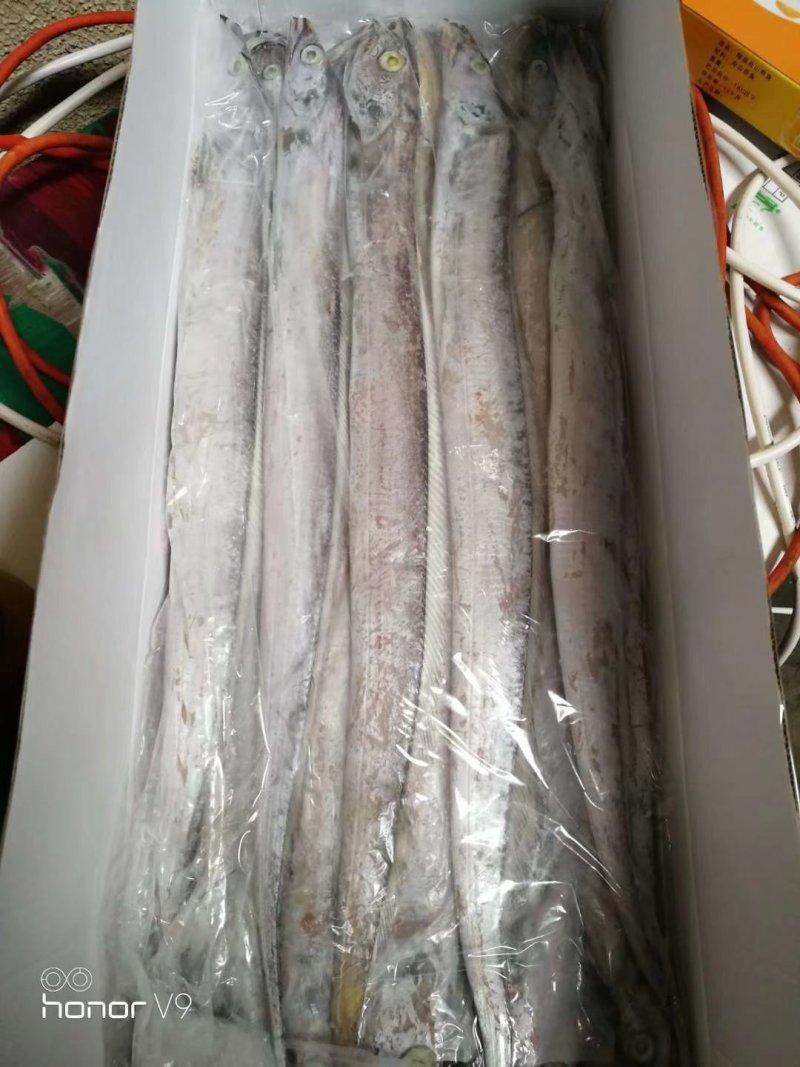 礼品带规格10/12