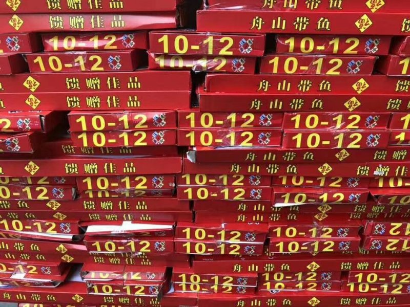 礼品带规格10/12