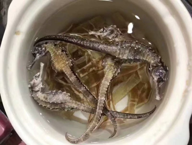 干海马一公一母搭配好5对起包邮