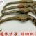 干海马一公一母搭配好5对起包邮