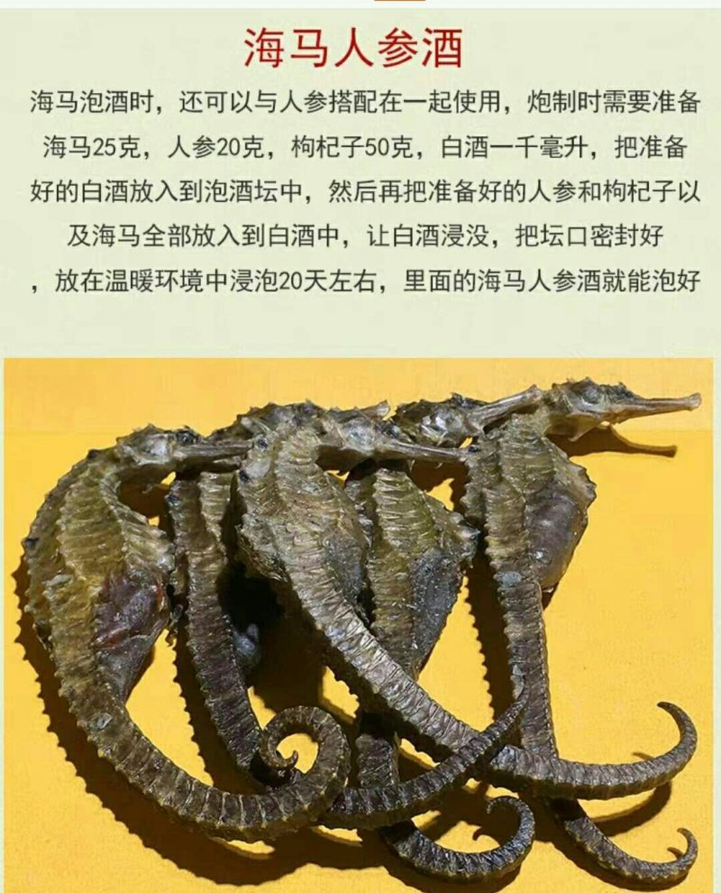干海马一公一母搭配好5对起包邮