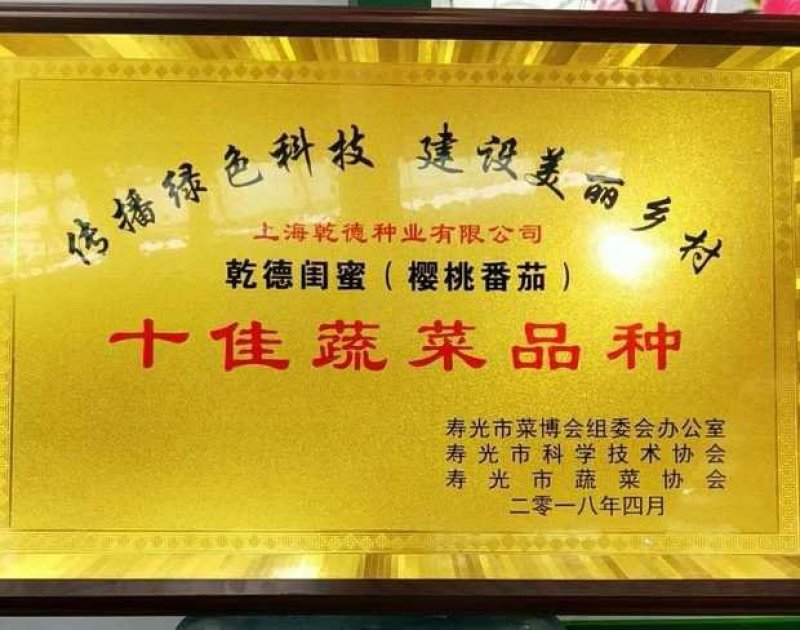 乾德闺蜜圆形粉果樱桃番茄西红柿种子产量高抗病性好