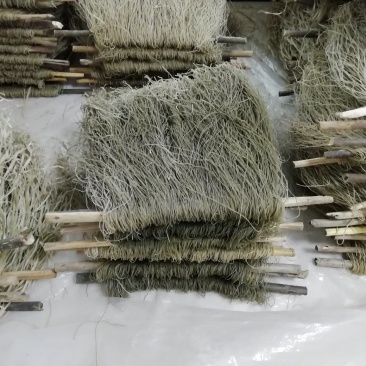 农家纯红薯粉条，不纯免费送你