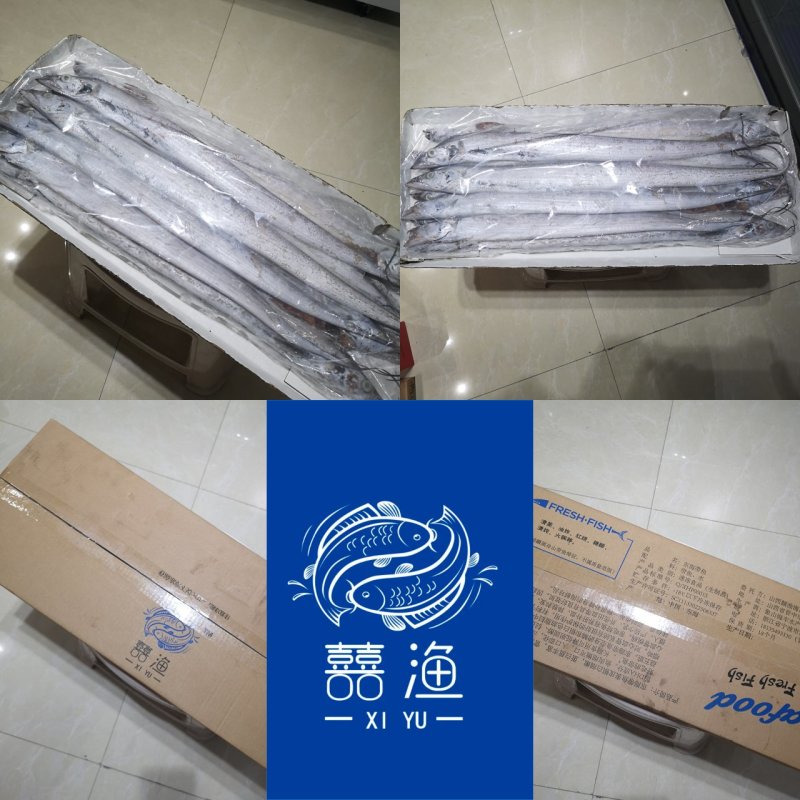 正宗舟山小眼睛带鱼