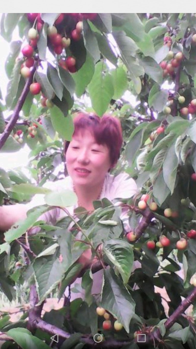 高效种植嫁接修剪管理技术团队