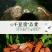 巴中手工烟熏豆腐干6块