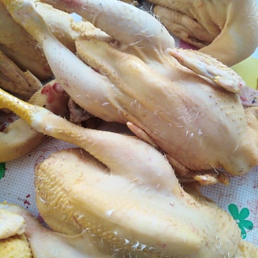 农副/副食