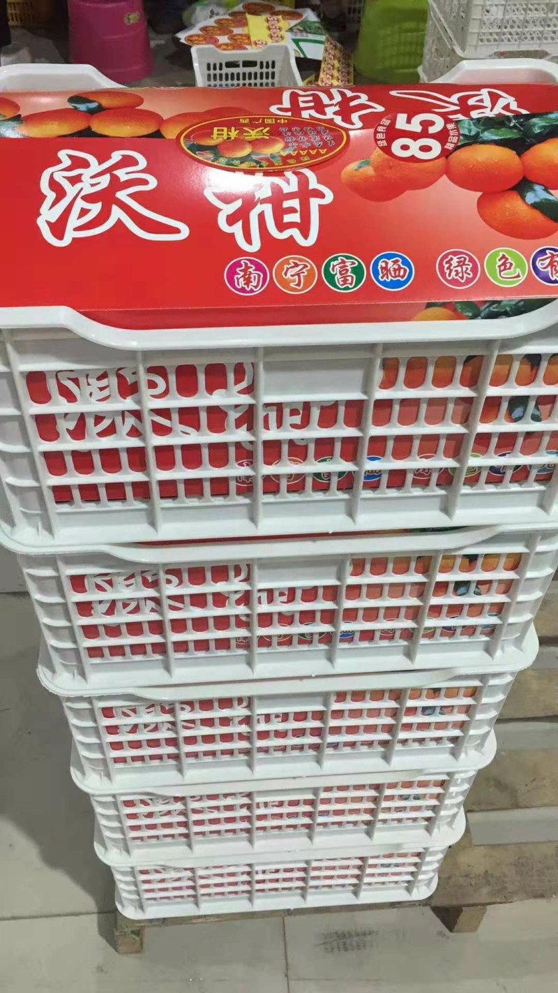 武鸣沃柑2021年2月大量上市，欢迎各地果商前来定购。