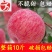 礼泉红富士苹果脆甜可口精品发货全国商超对接