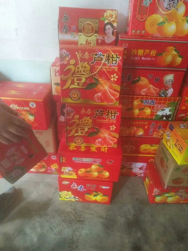 福建、南平、顺昌精品包装的芦柑、规格是6.5