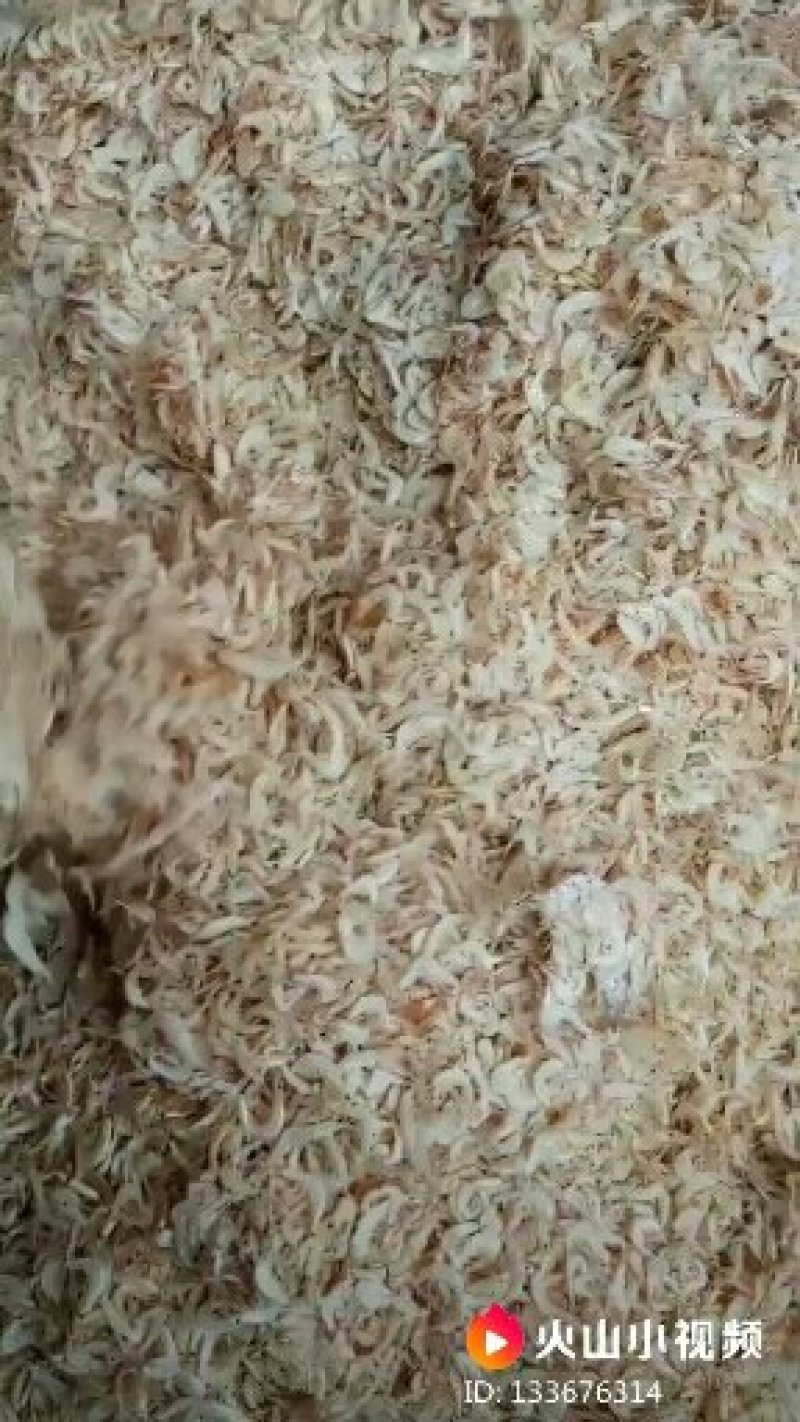 沾化虾皮