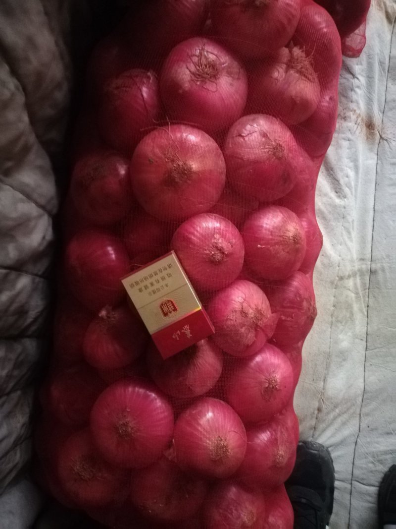 红洋葱各种规格品种，各种包装，精品翻包，超市直供