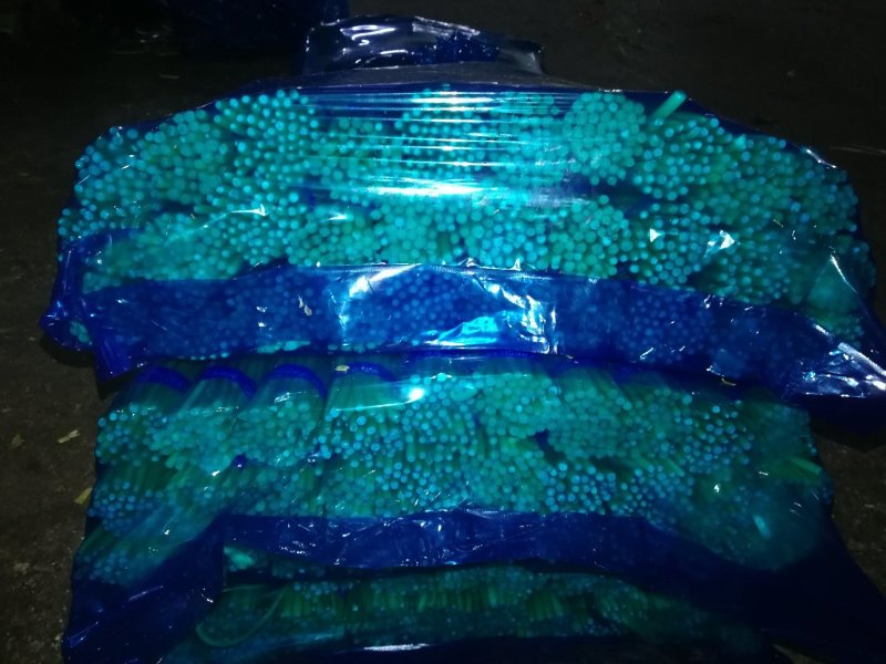 金乡蒜薹，红苞，白苞蒜薹超市精加工齐头，条长，颜色鲜艳