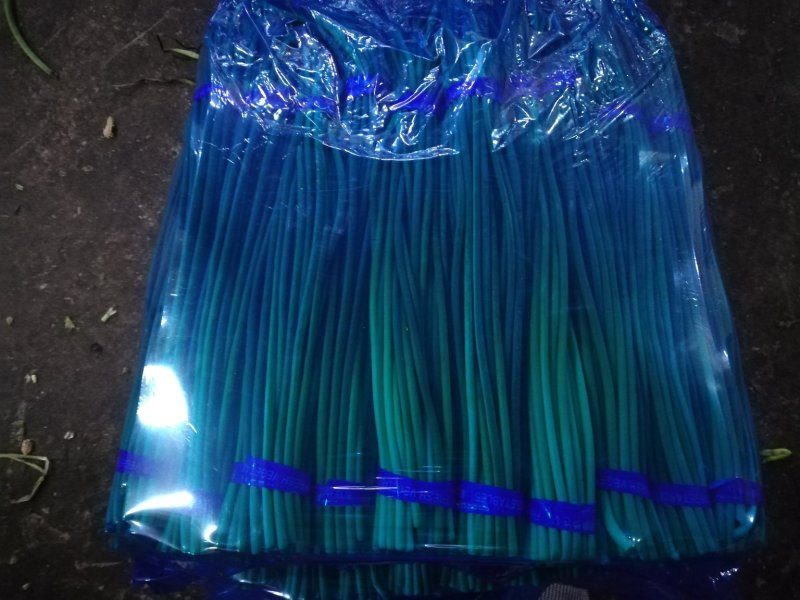 金乡蒜薹，红苞，白苞蒜薹超市精加工齐头，条长，颜色鲜艳