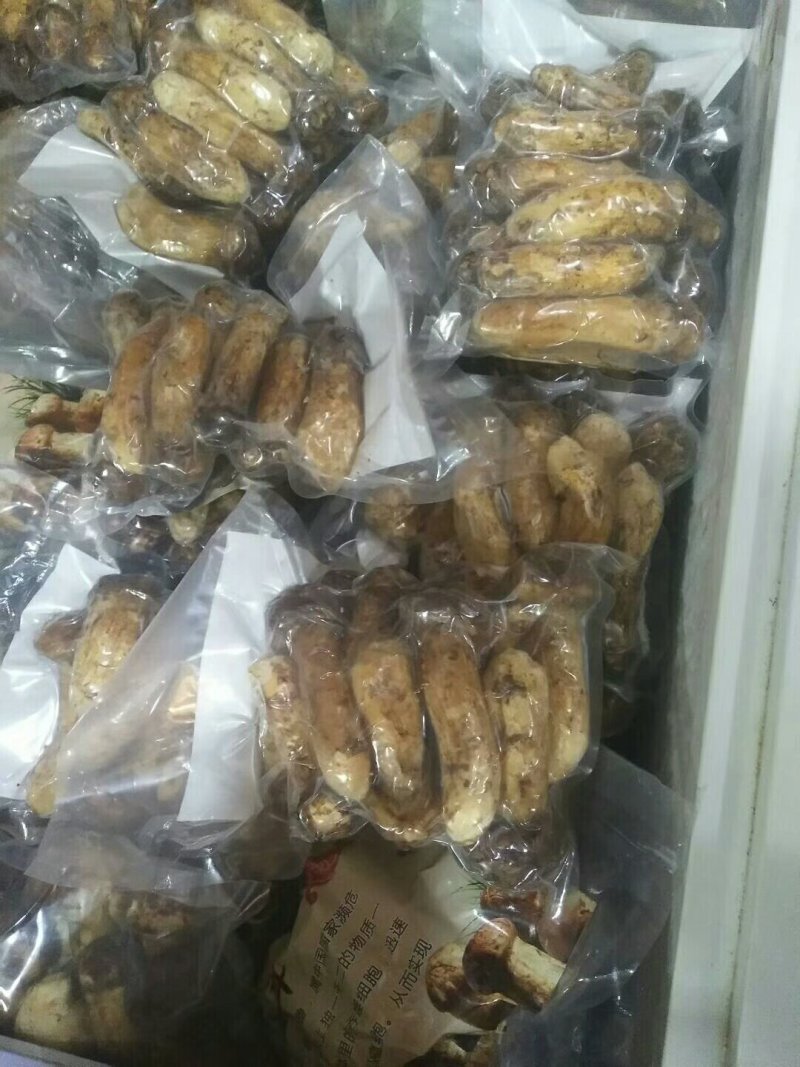 干冻松茸礼品盒5盒包邮