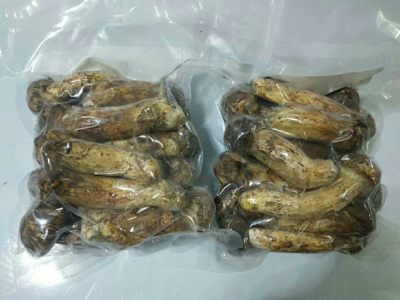 干冻松茸礼品盒5盒包邮