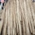 九斤黄山药新地的