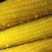 速冻粘玉米