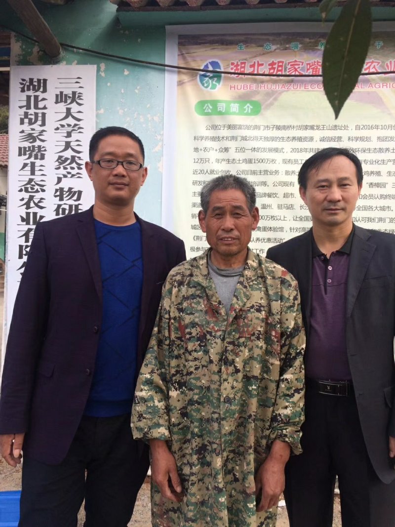 【有好货】散养土鸡蛋30枚全网一件代发，品质好线上线下俏