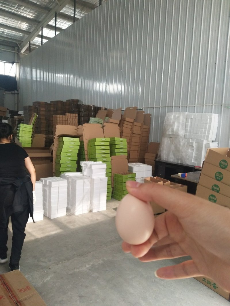 【有好货】散养土鸡蛋30枚全网一件代发，品质好线上线下俏