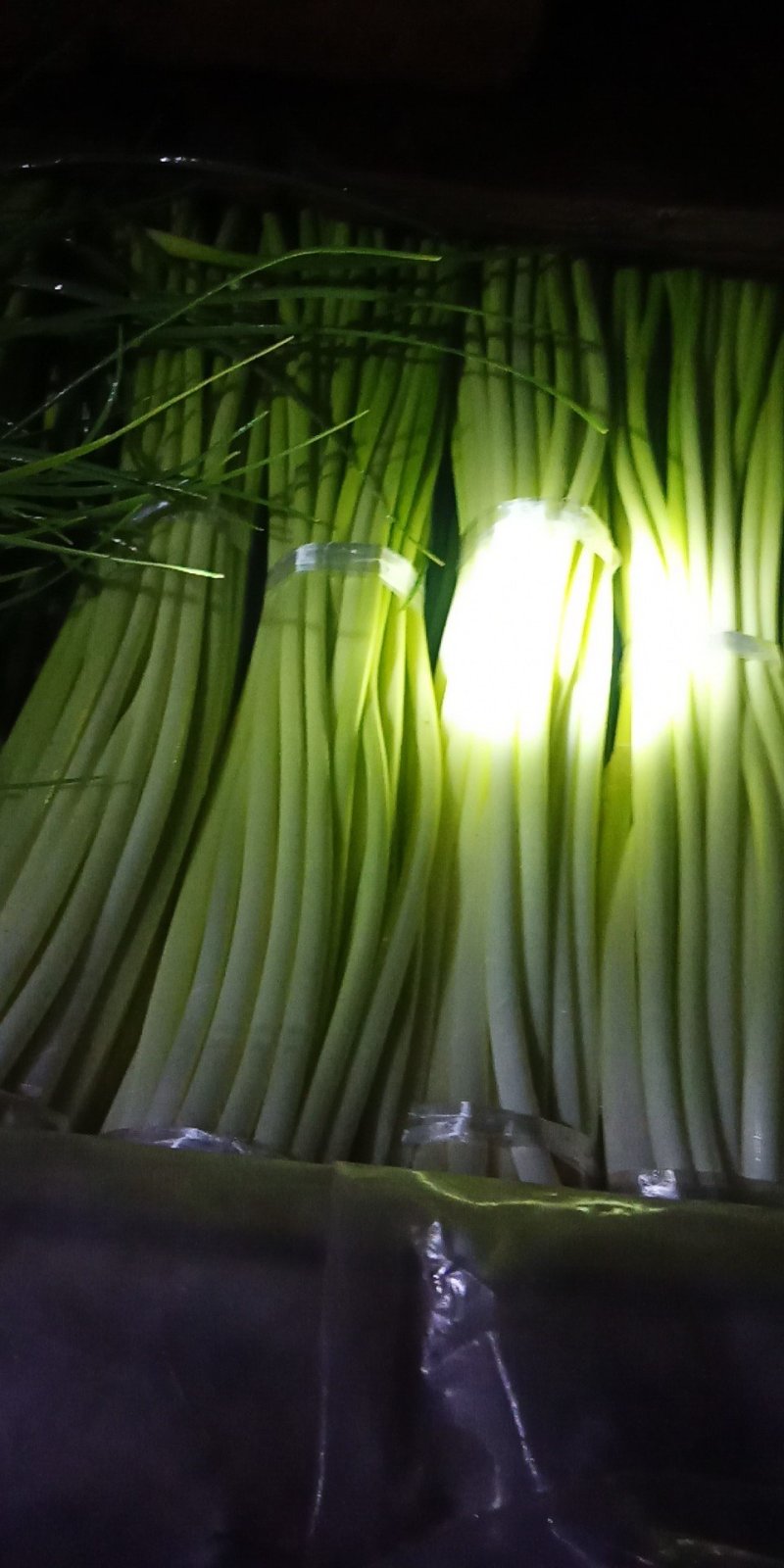 五八树椒个头大质量好