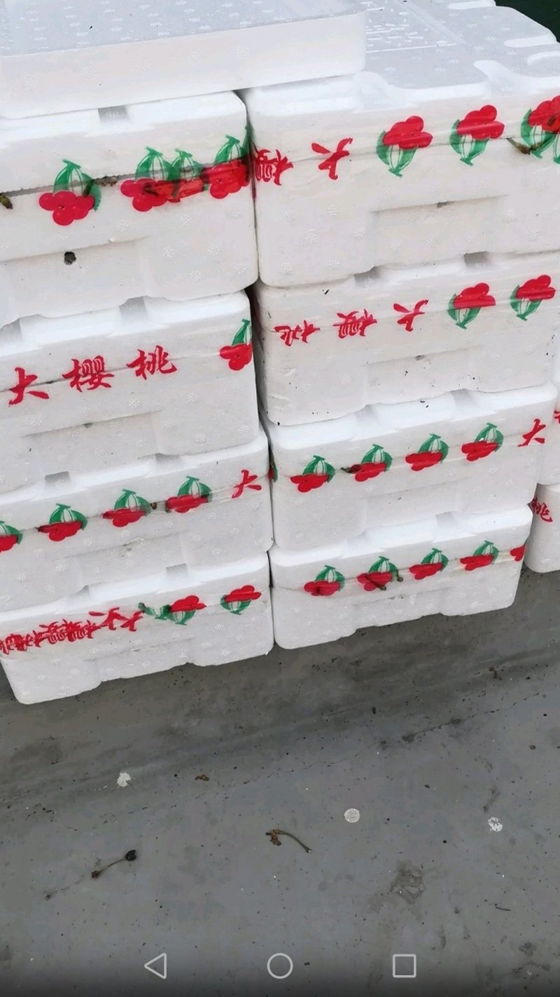 布鲁克斯樱桃（冰糖脆）