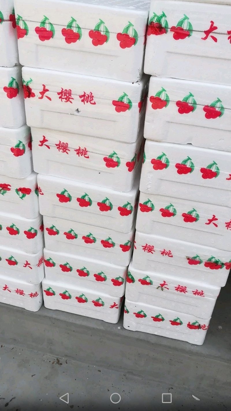 布鲁克斯樱桃（冰糖脆）