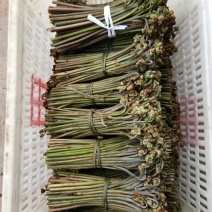 四川高山野菜，蕨菜，大量上市了，
