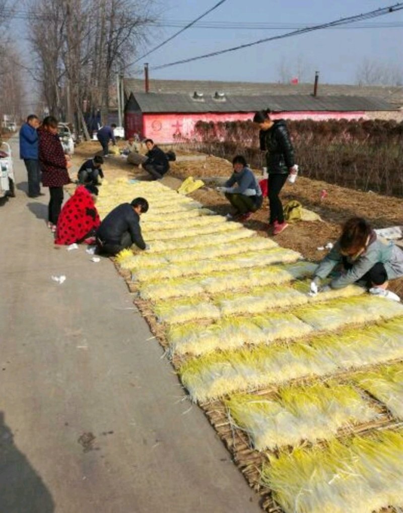 优质韭黄，色泽金黄，产地直供，量大从优，欢迎光临！