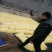 优质韭黄，色泽金黄，产地直供，量大从优，欢迎光临！