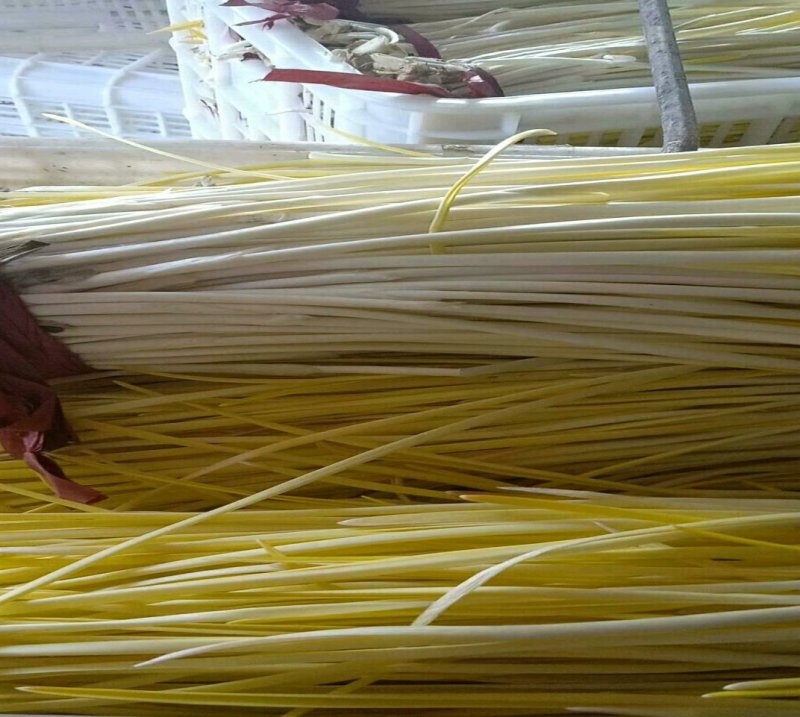 精品蒜黄，颜色金黄，产地直供，量大从优，客户至上，欢迎光