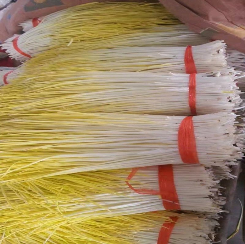 精品蒜黄，颜色金黄，产地直供，量大从优，客户至上，欢迎光