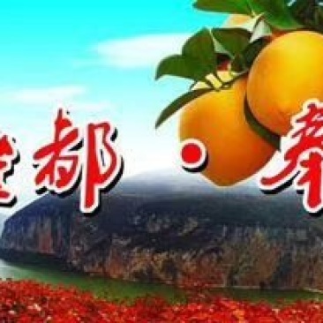 奉节脐橙～礼盒装，正宗原产地鲜香纯甜橙纽荷尔