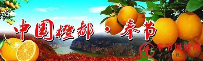 奉节脐橙～礼盒装，正宗原产地鲜香纯甜橙纽荷尔
