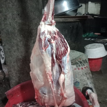 现杀活驴肉