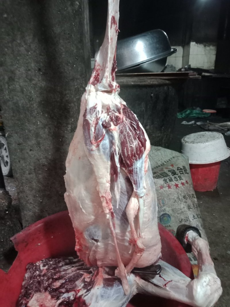 现杀活驴肉
