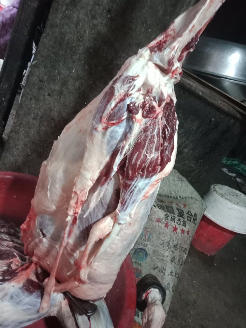 现杀活驴肉