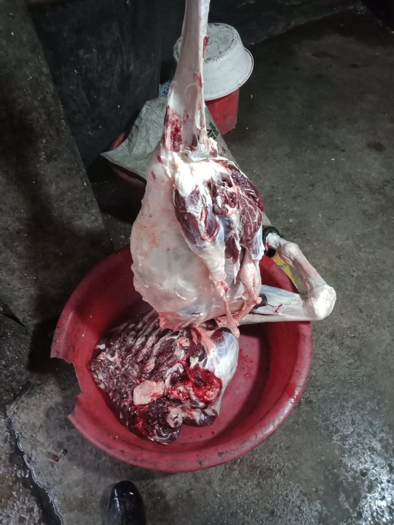 现杀活驴肉