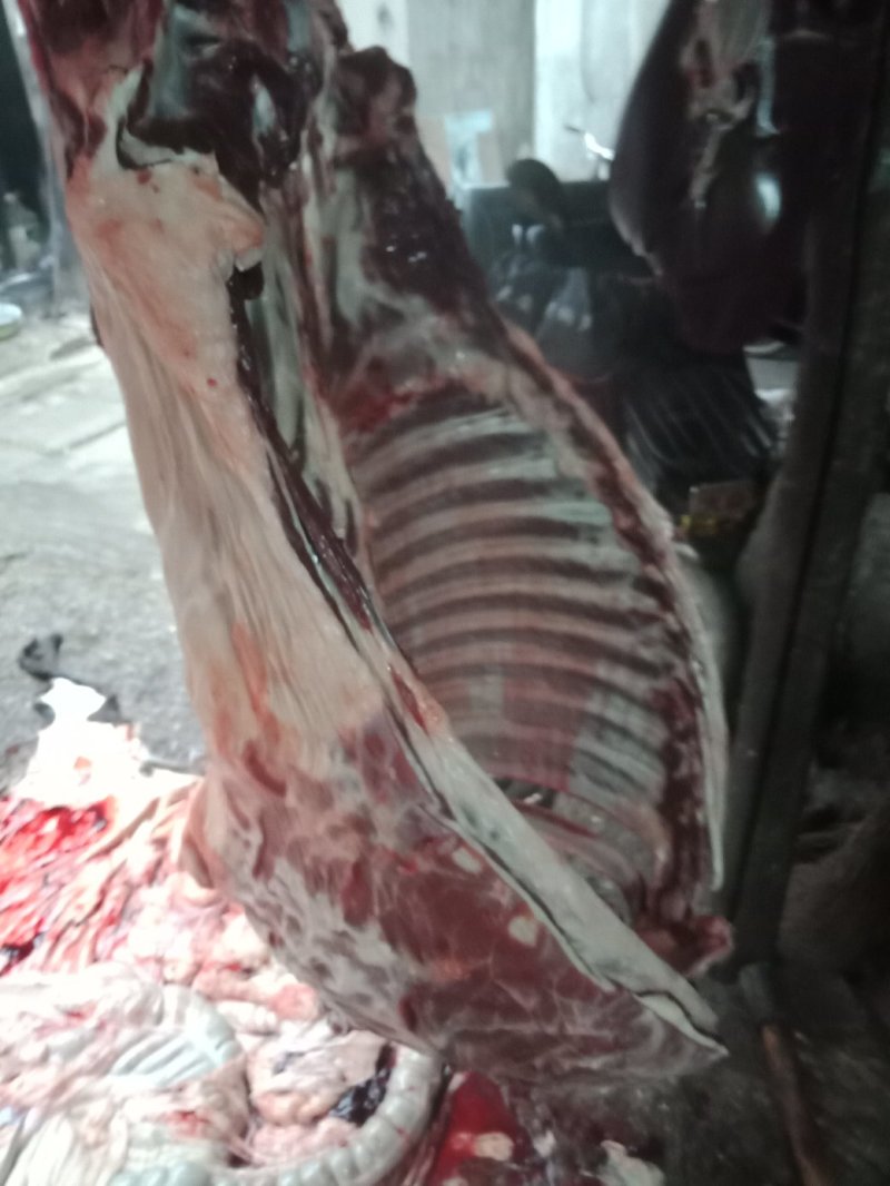 现杀活驴肉