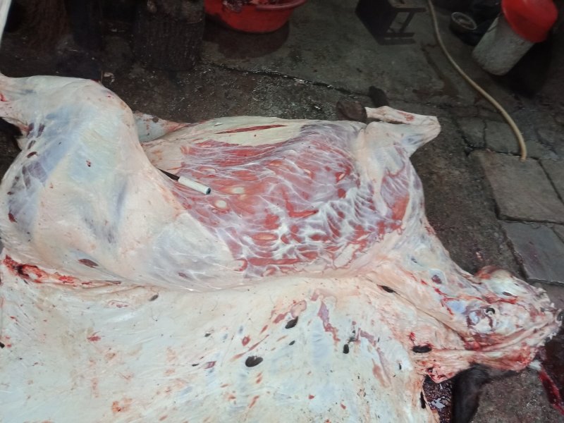 现杀活驴肉