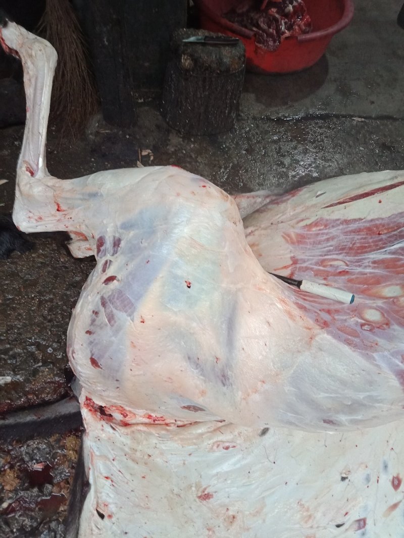 现杀活驴肉